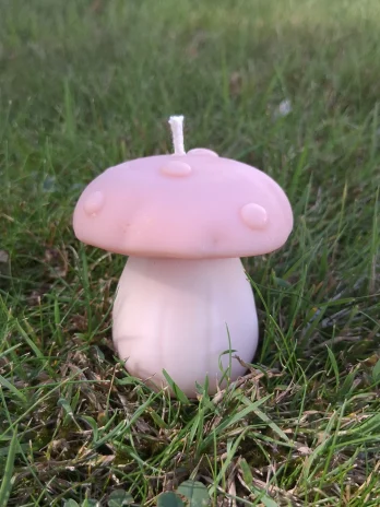 Bougie champignon