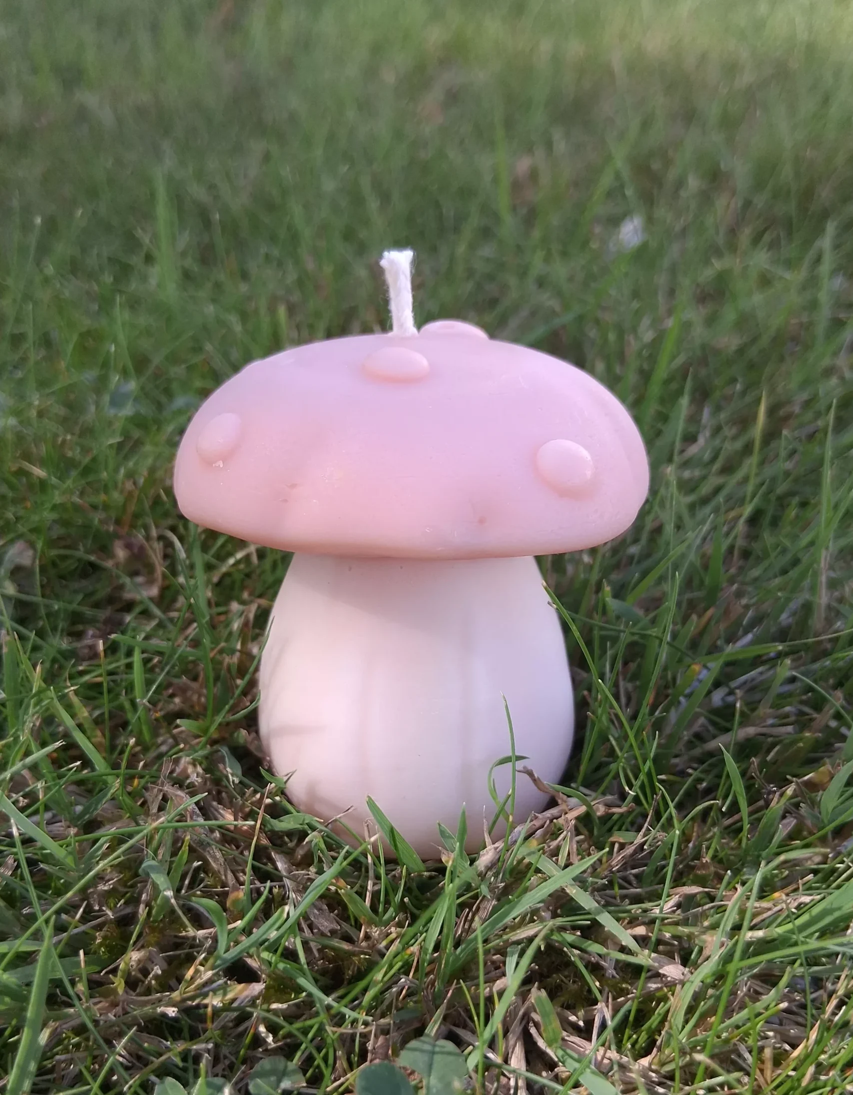 Bougie champignon