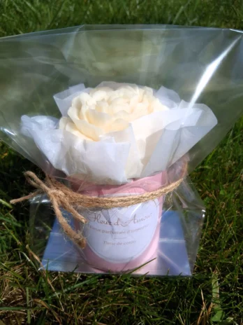 Fleur parfumée